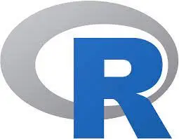 使用 R 进行开发